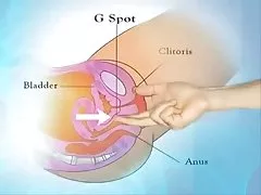 Wielki, gruby członek ma seksualną kota
