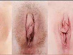 Pani i dwóch grzecznych drewniaki