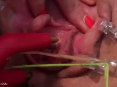 Bujna laska na członkowskiego