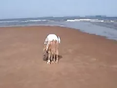 Słodka dupcia i duży penis