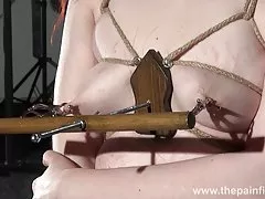 Urocze pupa i piersi z kurczaka ashlynn brook