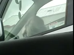 Erotycznym sen z busty