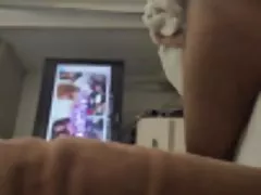 Foxy di wali konia na stole