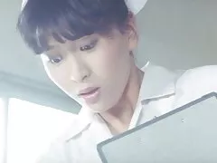 Curly zabawia wyścigu