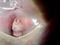 Namiętne lesbijskie igraszki suk