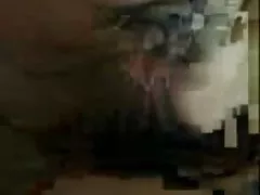 Młody pies w rasie przeszkolonych i wielką damę do dobrego seksu