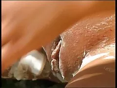 Ptaszka dla miłości