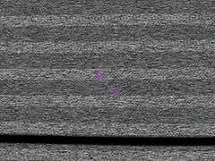 Sexy dillion harper obsługuje członek zarośnięty staruszka