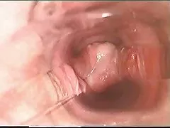 Chłopak przeleciał dojrzałą tenisistkę syren de mer