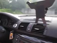 Masturbacja z seksowną dziewczyny