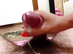 Panda i seksowna dziewczyna